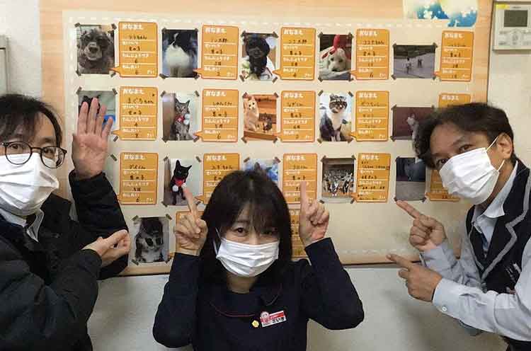 事務所にはペット自慢の掲示板が!犬・猫好きが多数在籍しています。