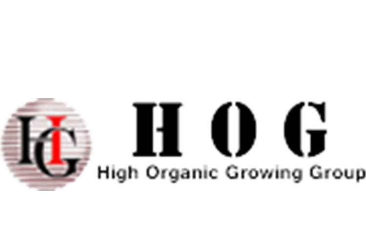 株式会社HOG